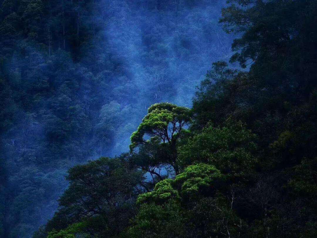 飞仙诀