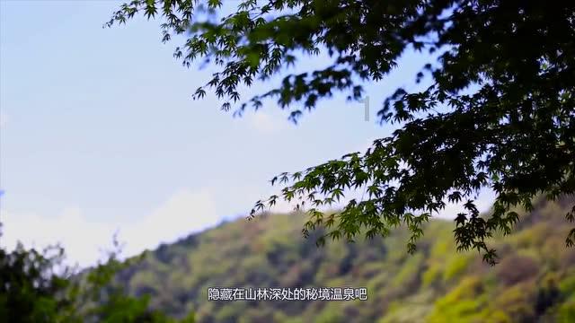 婚后是否可以和父母同住？游戏画面