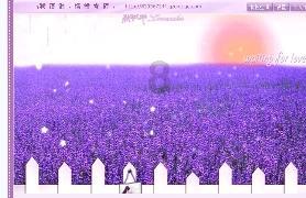 动物帮帮忙保卫家园