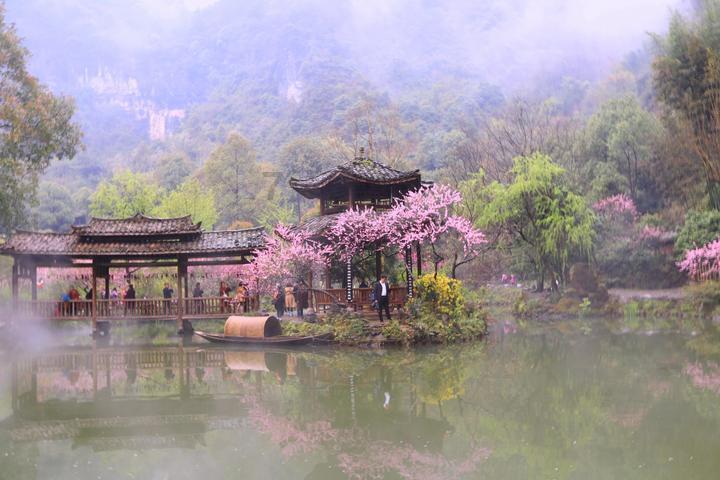 双十一期间，你被商家套路过吗？你是如何维权的？游戏画面